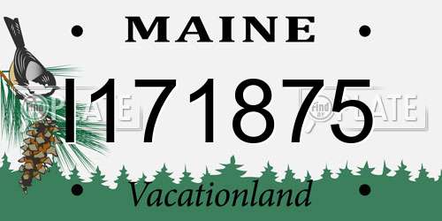 I171875 Maine License Plate