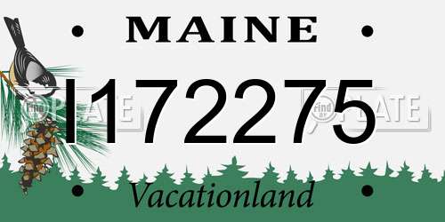 I172275 Maine License Plate