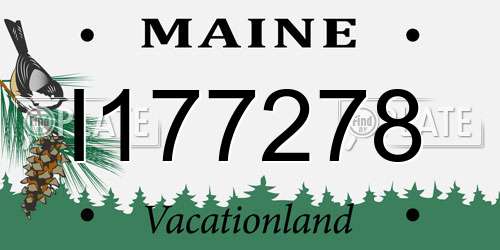 I177278 Maine License Plate