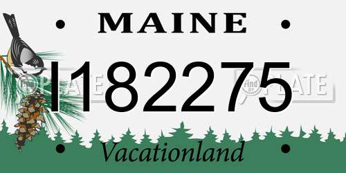 I182275 Maine License Plate