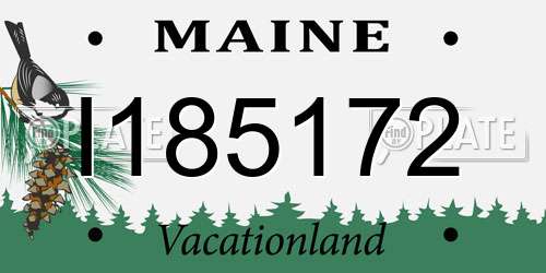 I185172 Maine License Plate