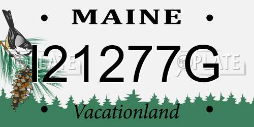 I21277G Maine License Plate