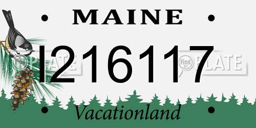 I216117 Maine License Plate