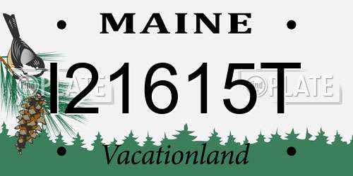I21615T Maine License Plate
