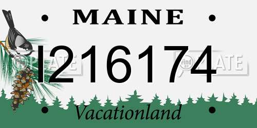 I216174 Maine License Plate