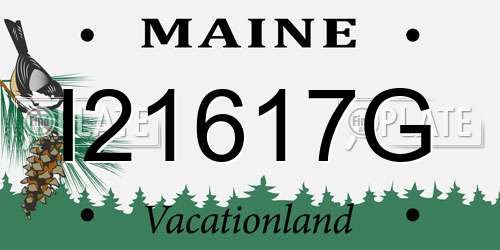 I21617G Maine License Plate