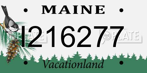 I216277 Maine License Plate