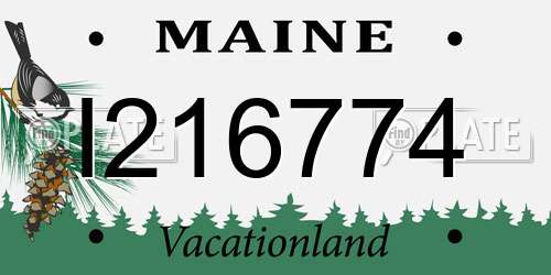 I216774 Maine License Plate