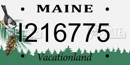 I216775 Maine License Plate