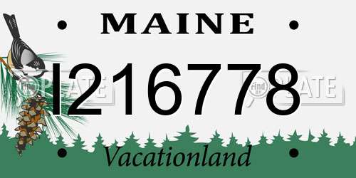 I216778 Maine License Plate