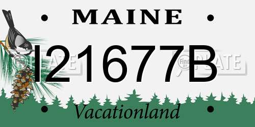 I21677B Maine License Plate