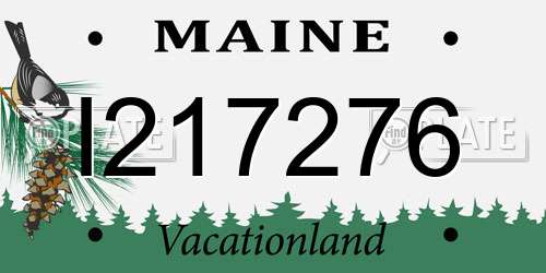 I217276 Maine License Plate