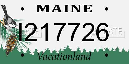 I217726 Maine License Plate