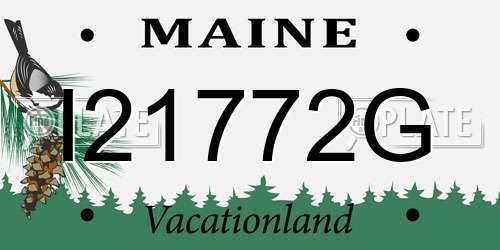 I21772G Maine License Plate