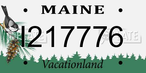 I217776 Maine License Plate
