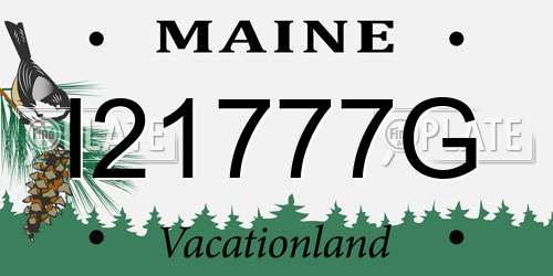 I21777G Maine License Plate