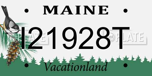I21928T Maine License Plate