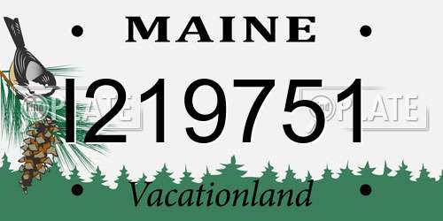 I219751 Maine License Plate