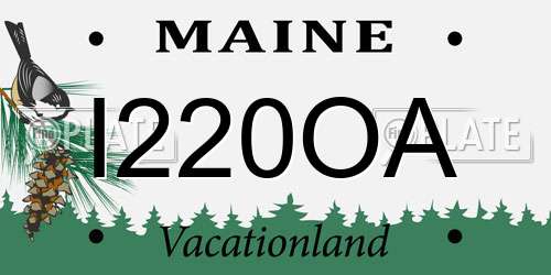 I220OA Maine License Plate