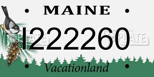 I222260 Maine License Plate