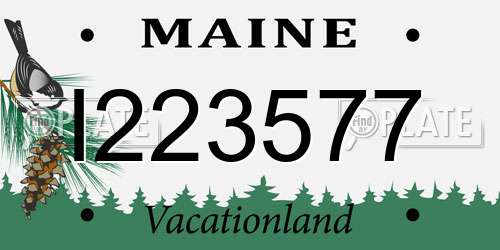 I223577 Maine License Plate