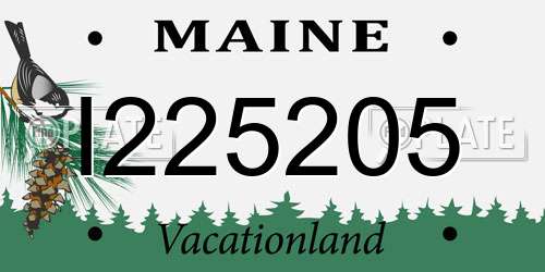 I225205 Maine License Plate