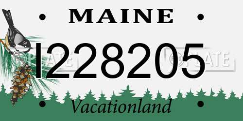 I228205 Maine License Plate