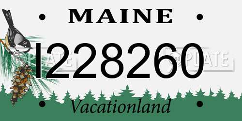 I228260 Maine License Plate