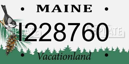 I228760 Maine License Plate