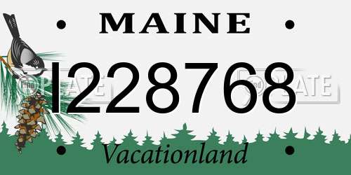 I228768 Maine License Plate