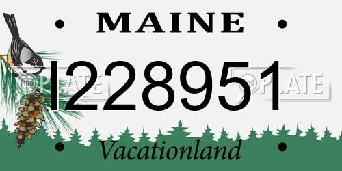 I228951 Maine License Plate