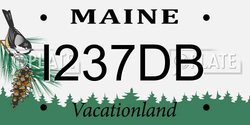 I237DB Maine License Plate