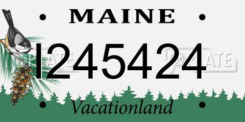 I245424 Maine License Plate