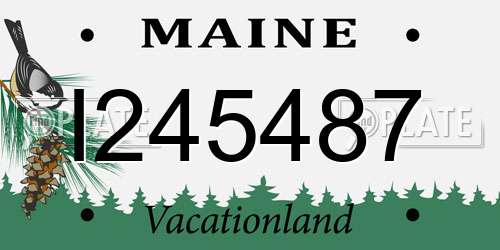 I245487 Maine License Plate