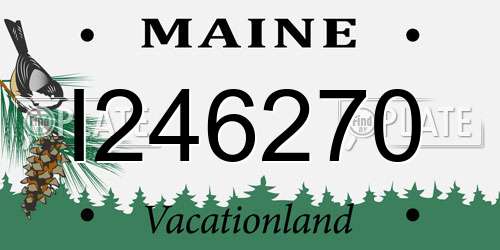 I246270 Maine License Plate