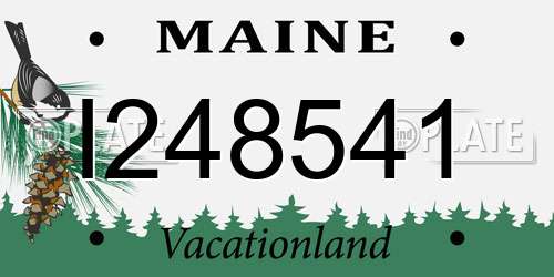 I248541 Maine License Plate
