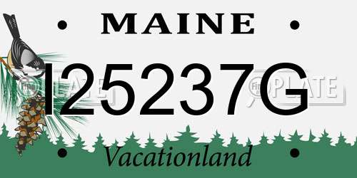 I25237G Maine License Plate