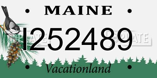 I252489 Maine License Plate