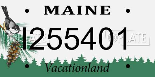 I255401 Maine License Plate