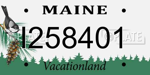I258401 Maine License Plate