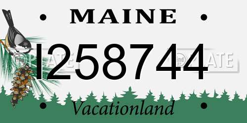 I258744 Maine License Plate