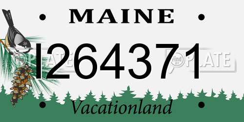 I264371 Maine License Plate
