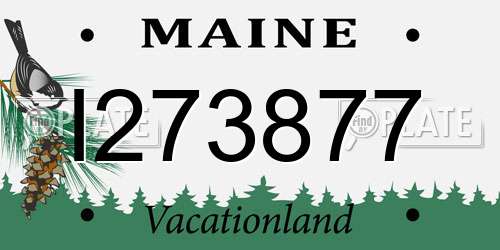 I273877 Maine License Plate