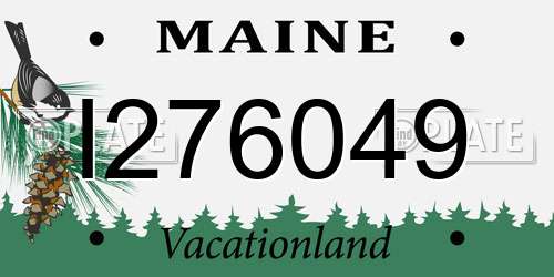 I276049 Maine License Plate