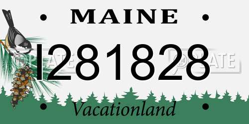 I281828 Maine License Plate