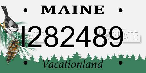 I282489 Maine License Plate