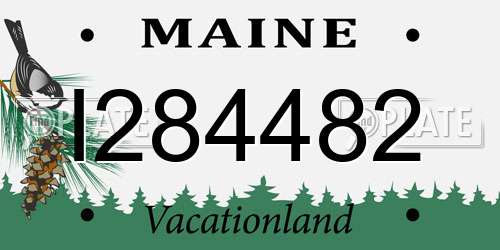 I284482 Maine License Plate