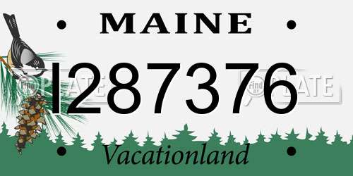 I287376 Maine License Plate