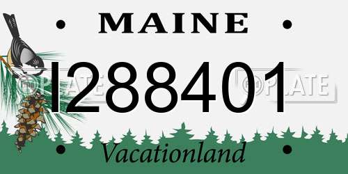 I288401 Maine License Plate