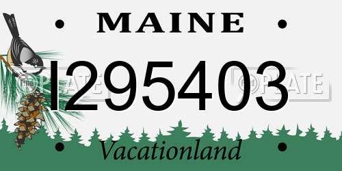 I295403 Maine License Plate